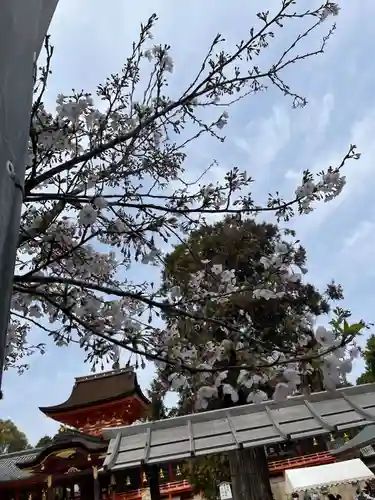 石清水八幡宮(京都府)