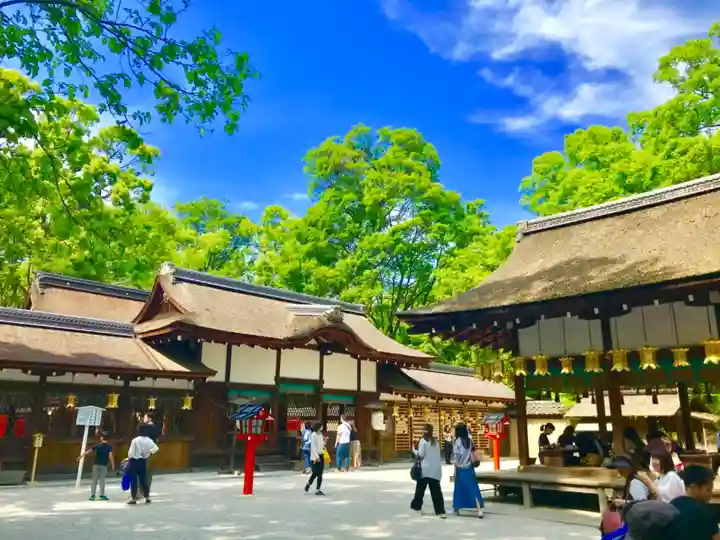 河合神社(鴨川合坐小社宅神社)の景色