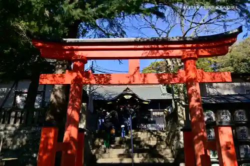 玉前神社の鳥居