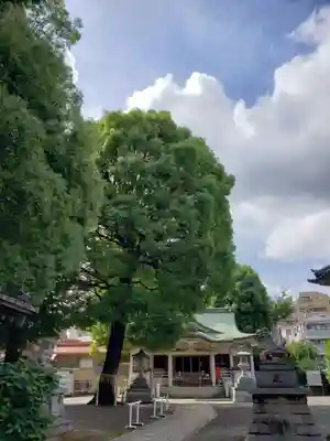 荻窪白山神社の本殿・本堂