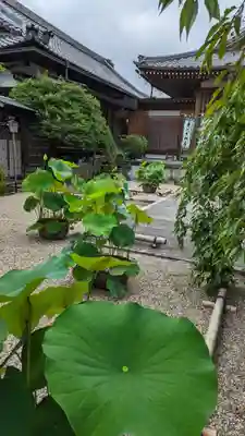 後白河院御聖蹟　法住寺(京都府)