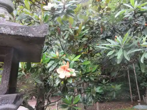 蚶満寺(秋田県)