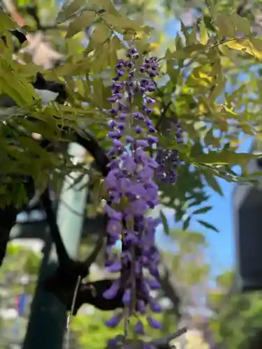 國領神社(東京都)