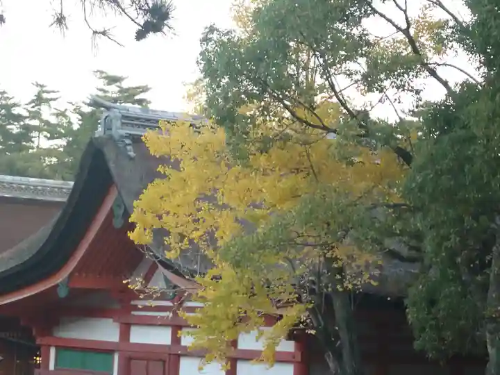 厳島神社(広島県)