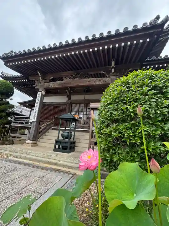 素盞嗚神社(兵庫県)