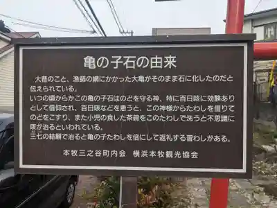 亀の子石神社（亀の子様）(神奈川県)