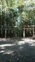 諏訪神社の鳥居