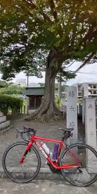 楠木神社(大阪府)
