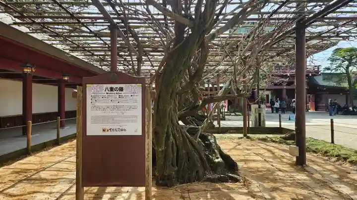 笠間稲荷神社(茨城県)