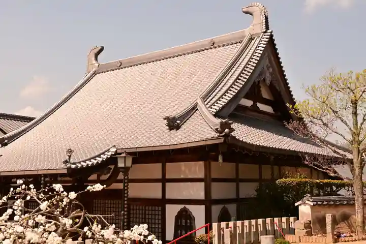 祥雲寺(愛媛県)