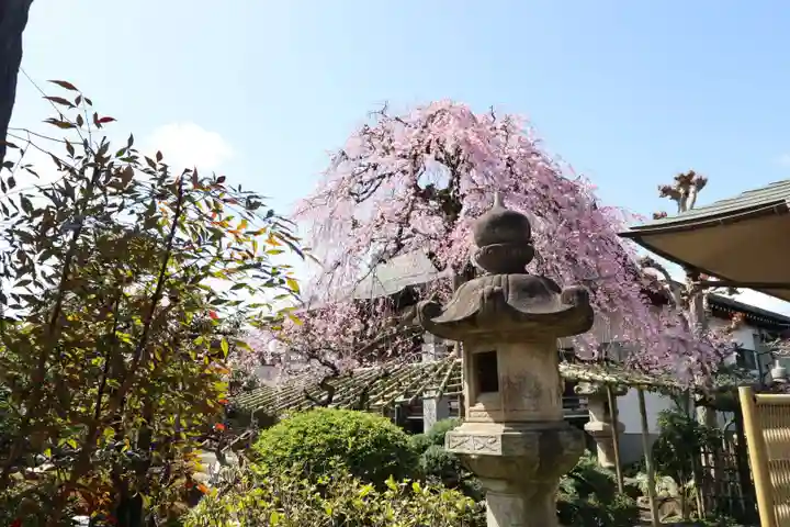 善龍寺(東京都)