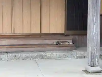 善導寺(三重県)