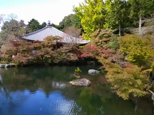 醍醐寺の庭園