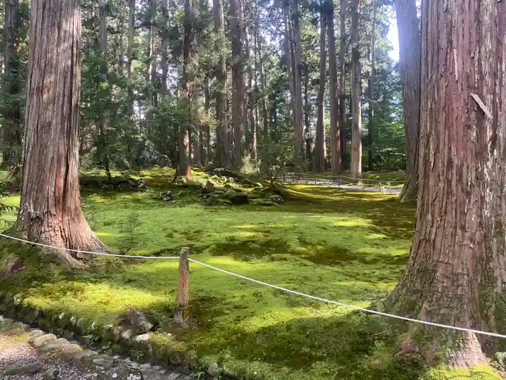 平泉寺白山神社(福井県)