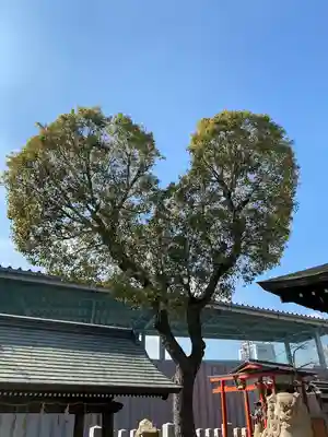 南宮宇佐八幡神社（脇浜神社）(兵庫県)