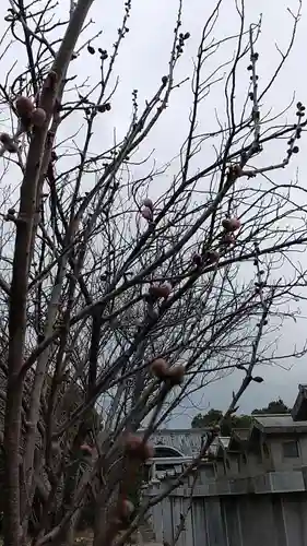 比佐豆知神社(三重県)