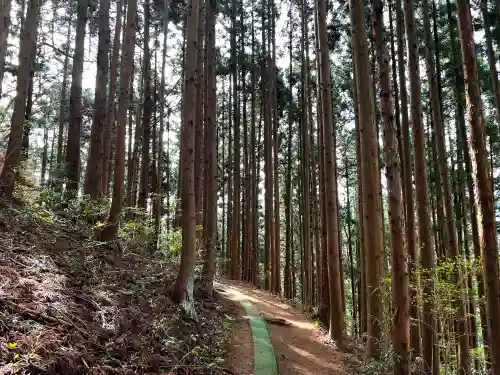 戸隠神社の景色