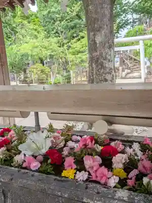 鳩森八幡神社(東京都)