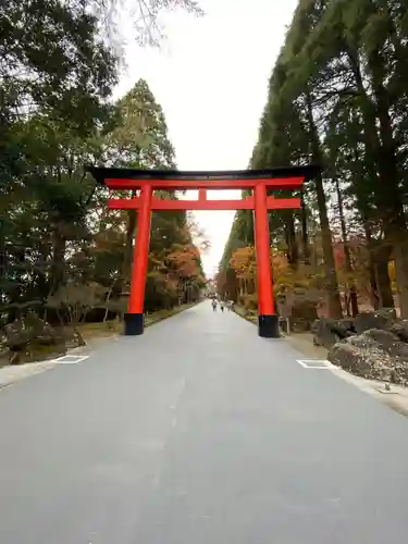 霧島神宮の鳥居