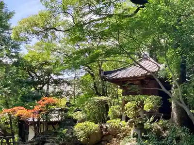 妙興報恩禅寺(妙興寺)のその他建物