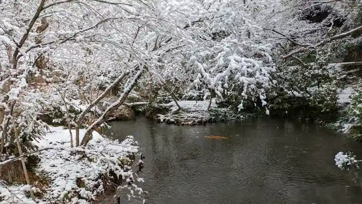 圓光寺(京都府)