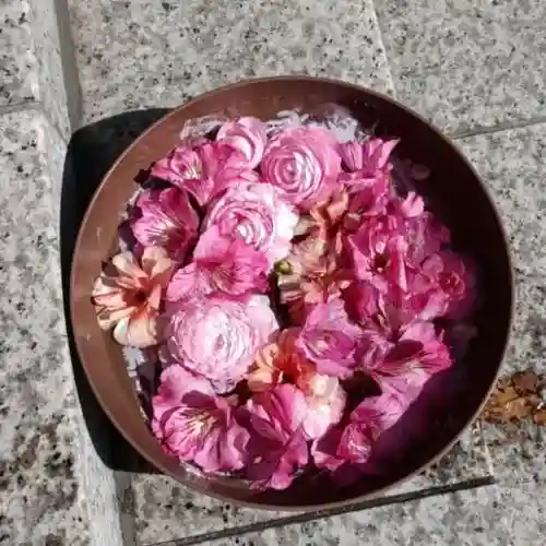 彌彦神社　(伊夜日子神社)の手水舎