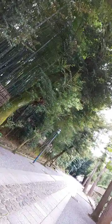 大徳寺のその他建物