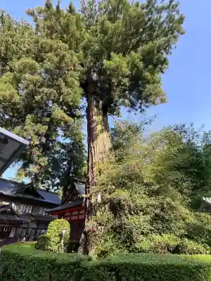 香取神宮(千葉県)