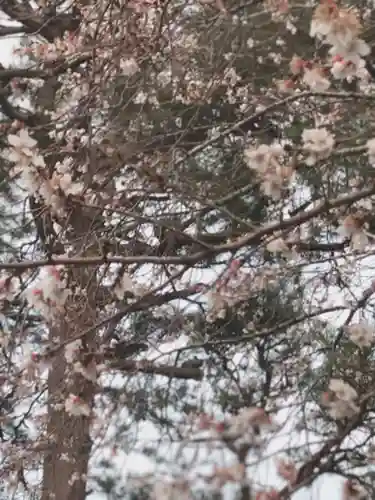 竹駒神社の自然