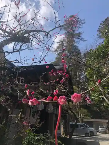 熊野本宮大社の自然