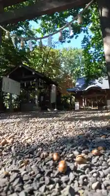 相馬神社(北海道)