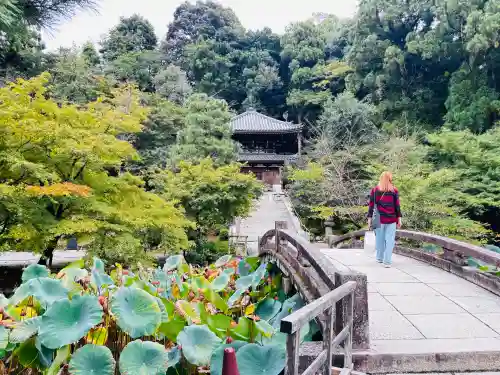 知恩院の{uncategorized: "未分類", other: "その他", undefined: "問題あり", building: "その他建物", grave: "お墓", sacred_gate: "鳥居", guardian: "狛犬", statue: "像", buddha: "仏像", history: "歴史", nature: "自然", garden: "庭園", animal: "動物", pagoda: "塔", temizu: "手水舎", mountain_gate: "山門・神門", sanctuary: "本殿・本堂", subordinate: "末社・摂社", art: "芸術", scenery: "景色", jizo: "地蔵", ema: "絵馬", goshuin: "御朱印", omikuji: "おみくじ", items: "授与品その他", amulet: "お守り", goshuincho: "御朱印帳", eats: "食事", festival: "お祭り", votive_dance: "神楽", shichigosan: "七五三参", wedding: "結婚式", experience: "体験その他", initially: "初詣", around: "周辺", anti_infection: "感染症対策"}