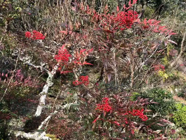 木舟山 順教寺(広島県)
