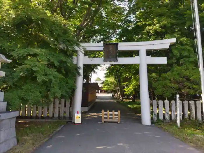 亀田八幡宮の鳥居