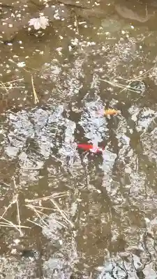 竹駒稲荷神社(北海道)