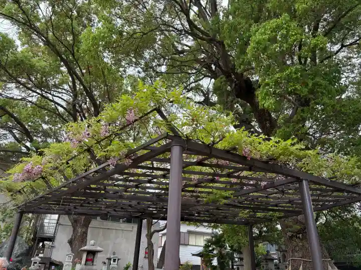 葛井寺の{uncategorized: "未分類", other: "その他", undefined: "問題あり", building: "その他建物", grave: "お墓", sacred_gate: "鳥居", guardian: "狛犬", statue: "像", buddha: "仏像", history: "歴史", nature: "自然", garden: "庭園", animal: "動物", pagoda: "塔", temizu: "手水舎", mountain_gate: "山門・神門", sanctuary: "本殿・本堂", subordinate: "末社・摂社", art: "芸術", scenery: "景色", jizo: "地蔵", ema: "絵馬", goshuin: "御朱印", omikuji: "おみくじ", items: "授与品その他", amulet: "お守り", goshuincho: "御朱印帳", eats: "食事", festival: "お祭り", votive_dance: "神楽", shichigosan: "七五三参", wedding: "結婚式", experience: "体験その他", initially: "初詣", around: "周辺", anti_infection: "感染症対策"}