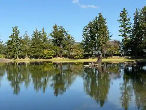 毛越寺(岩手県)