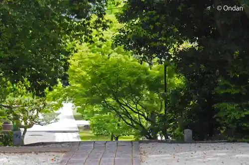  智積院(京都府)