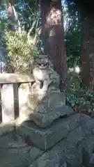 雨霜神社の狛犬