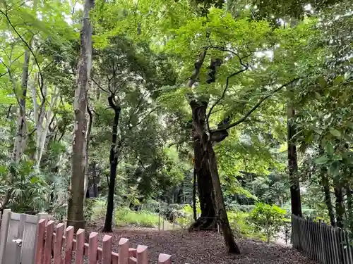 井草八幡宮(東京都)