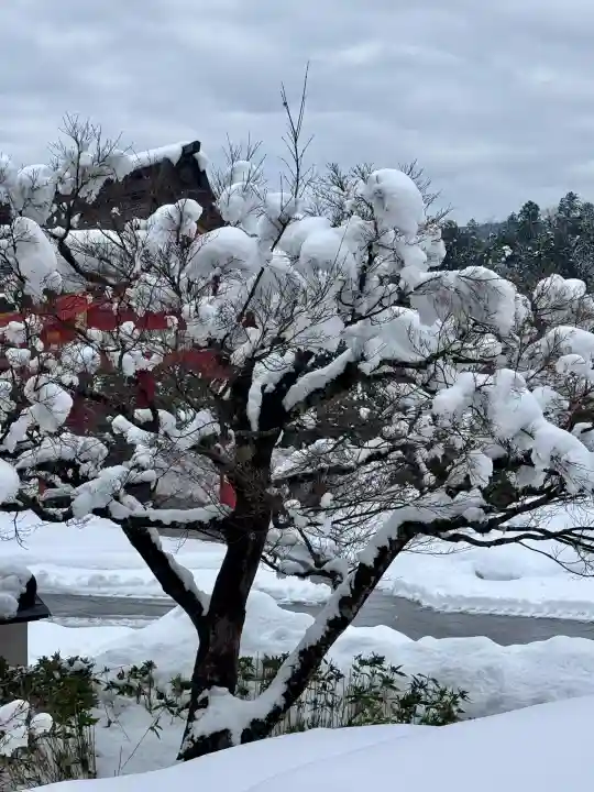 出雲大社 与謝分祠の{uncategorized: "未分類", other: "その他", undefined: "問題あり", building: "その他建物", grave: "お墓", sacred_gate: "鳥居", guardian: "狛犬", statue: "像", buddha: "仏像", history: "歴史", nature: "自然", garden: "庭園", animal: "動物", pagoda: "塔", temizu: "手水舎", mountain_gate: "山門・神門", sanctuary: "本殿・本堂", subordinate: "末社・摂社", art: "芸術", scenery: "景色", jizo: "地蔵", ema: "絵馬", goshuin: "御朱印", omikuji: "おみくじ", items: "授与品その他", amulet: "お守り", goshuincho: "御朱印帳", eats: "食事", festival: "お祭り", votive_dance: "神楽", shichigosan: "七五三参", wedding: "結婚式", experience: "体験その他", initially: "初詣", around: "周辺", anti_infection: "感染症対策"}