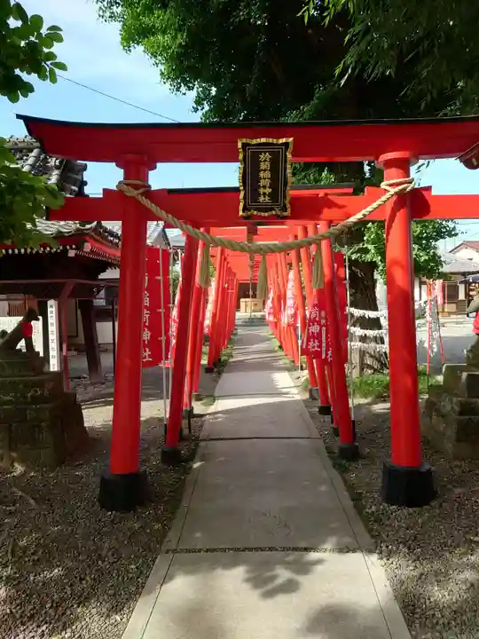 於菊稲荷神社(群馬県)