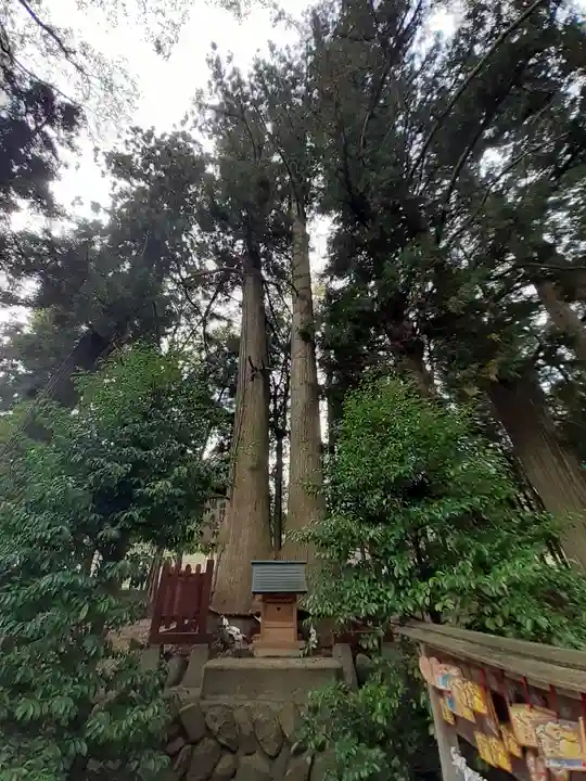 都々古別神社(八槻)(福島県)