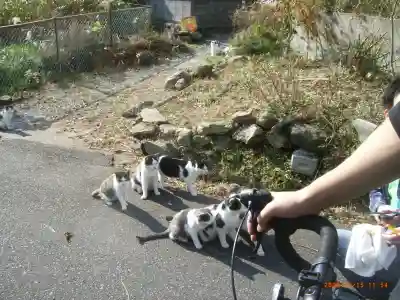 美與利大明神(宮城県)