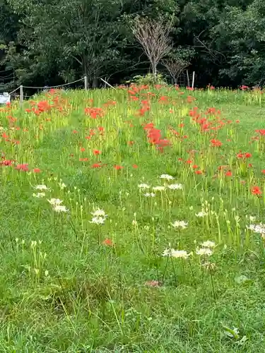 宝城坊(神奈川県)