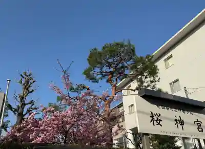 桜神宮の{uncategorized: "未分類", other: "その他", undefined: "問題あり", building: "その他建物", grave: "お墓", sacred_gate: "鳥居", guardian: "狛犬", statue: "像", buddha: "仏像", history: "歴史", nature: "自然", garden: "庭園", animal: "動物", pagoda: "塔", temizu: "手水舎", mountain_gate: "山門・神門", sanctuary: "本殿・本堂", subordinate: "末社・摂社", art: "芸術", scenery: "景色", jizo: "地蔵", ema: "絵馬", goshuin: "御朱印", omikuji: "おみくじ", items: "授与品その他", amulet: "お守り", goshuincho: "御朱印帳", eats: "食事", festival: "お祭り", votive_dance: "神楽", shichigosan: "七五三参", wedding: "結婚式", experience: "体験その他", initially: "初詣", around: "周辺", anti_infection: "感染症対策"}