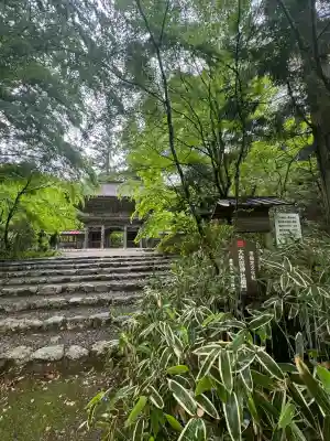 大矢田神社(岐阜県)