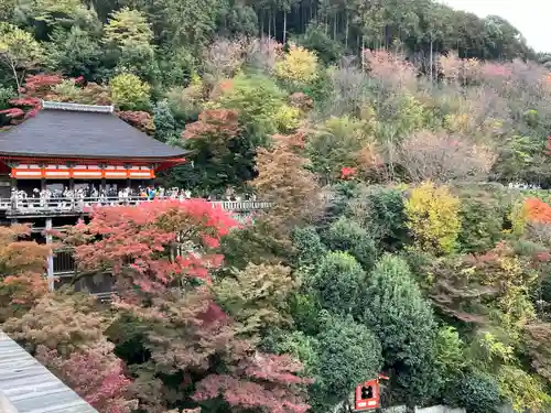 清水寺の景色