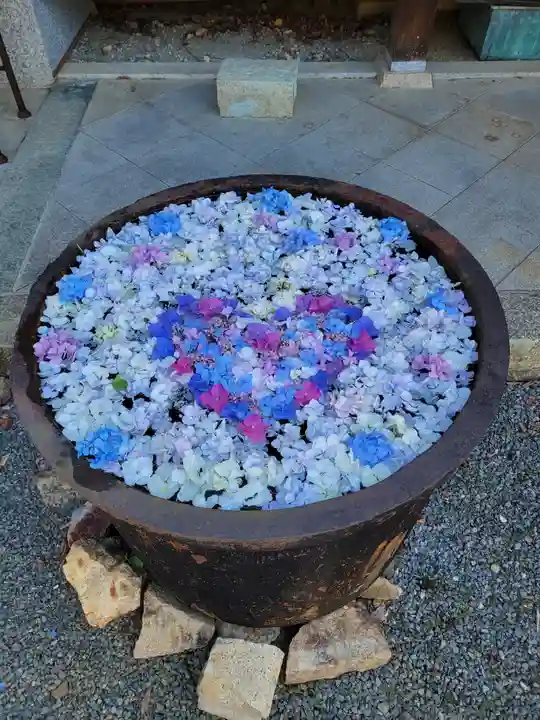 柳谷観音 楊谷寺(京都府)