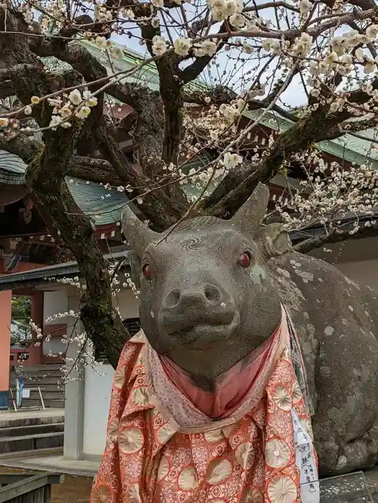北野天満宮(京都府)